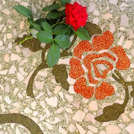 Διαμέρισμα Armonia Λουτρά Αιδηψού